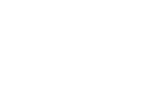 Vivlab